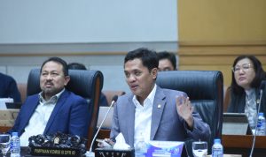 Anggota DPR RI Habiburokhman
